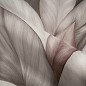 Обои Palitra Trend Nature TC72480-82